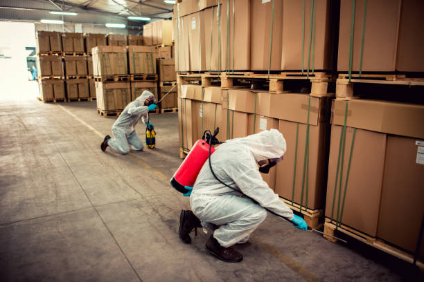Best Mosquito Control Services  in Independent Hill, VA