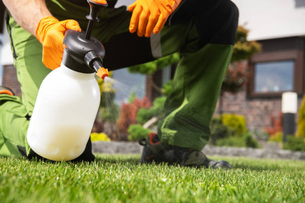 Best Pest Control Cost  in Independent Hill, VA